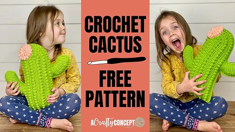 How To Crochet a Cactus Pillow- Free Crochet Pattern