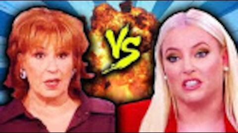 LOL: McCain Torches Her Co-Hosts for Attacking Democrat Maverick