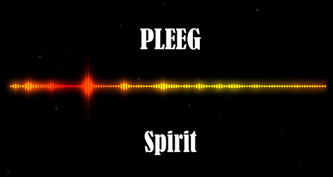 PLEEG - Spirit