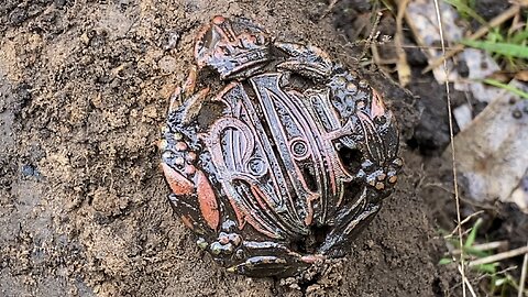 Royal Australian Air Force Cap Badge Metal Detecting