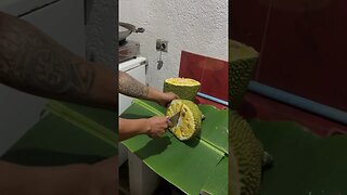 Slicing the Jackfruit #food #shortsvideo #shorts #philippines