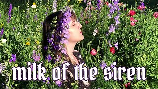 milk of the siren (melanie martinez cover)