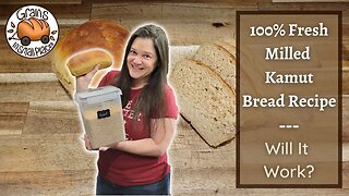 100% Fresh Milled Kamut Flour Bread Recipe | Will It Work?