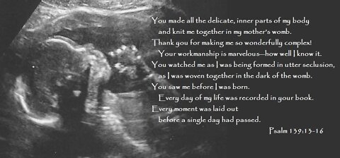 Life in the Womb, Psalm 139:13-16
