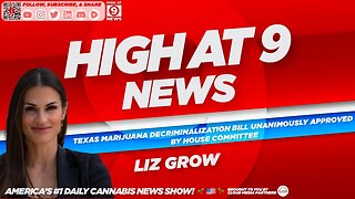 High At 9 News : Liz Grow - Texas Marijuana Decriminalization Bill Unanimously Approved