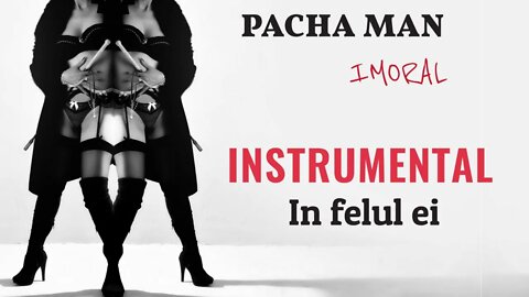 Pacha Man - In felul ei (Instrumental) | Produced by Style da Kid