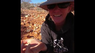 Gold Prospecting with Lee from Savage Prospecting