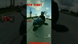 BAD Rabbit ZX6R SPEEDEMONZX636 "Modified EXHAUST...NAME & Registration🤣🤣" #shorts #funny #motorcycle