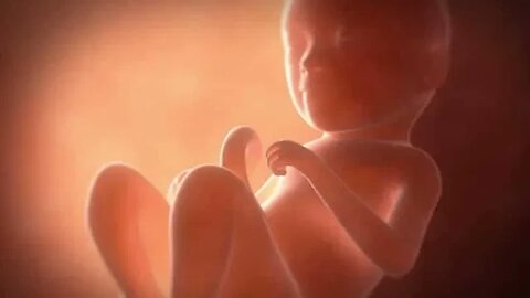 New Study Shows a Fetus Can Feel Pain Earlier Than We Thought!