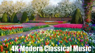 Modern Classical Music - Forgiveness | (AI) Audio Reactive Realistic | Walking in Tulips