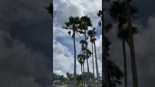 Hurricane Idalina is Coming! Florida City 2:30 pm, Tuesday 29 August