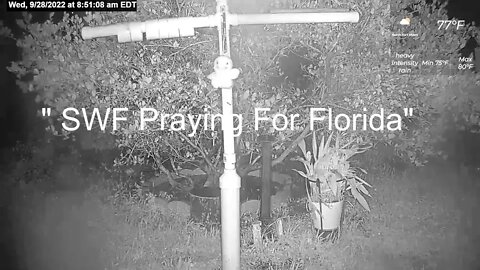 Florida Bird Feeder Live Camera HD