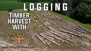 Logging Project: Timber Harvest with The Whitetail Group