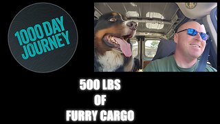 1000 Day Journey 0110 500LBS Of Furry Cargo