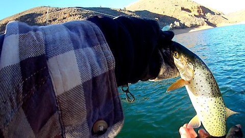 Fishing in Freezing Conditions