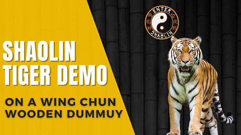 Shaolin Tiger Demonstration On Wing Chun Wooden Dummy