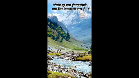 #love #shayari #travel #goldenlove #loveshayari #shayari