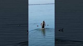 The walk out into the sound.