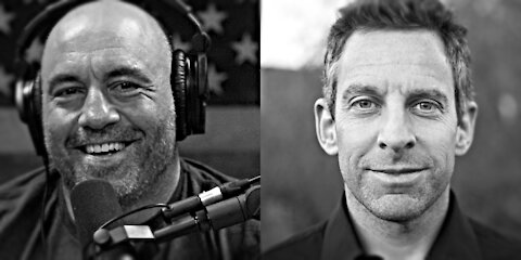 Rogan and Sam Harris (2nd Appearance)