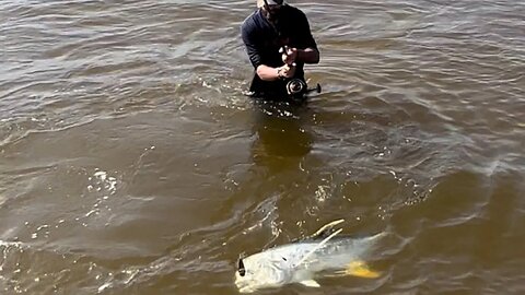 Have Y’all Ever Seen The Texas Mullet Run?