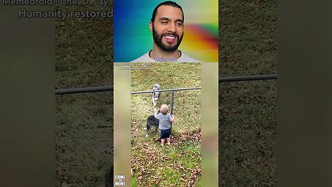 Kid overjoyed playing catch with dogs | Wholesome meme