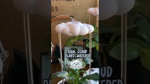 Rain Cloud Plant Waterer