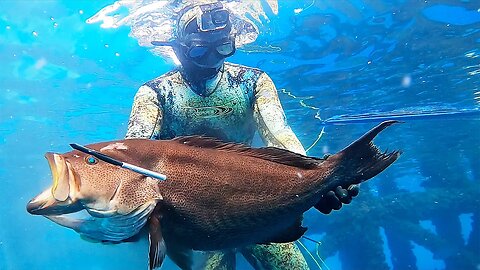 Spearfishing Offshore Oil Rigs for GIANT GROUPER, Cobia, African Pompano & Dog Snapper! (Day 2 LA)