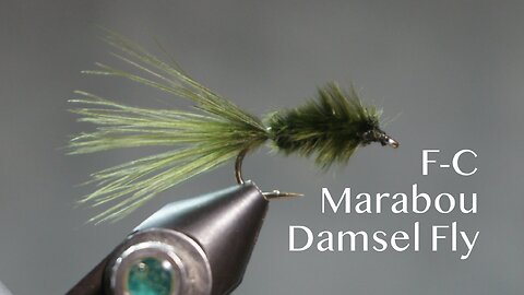 F-C Marabou Damsel Fly