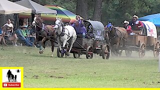 Classic Wagon Races - What About Bob Chuckwagon Races 2022 | Saturday