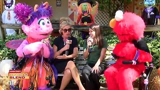 Busch Gardens | Morning Blend