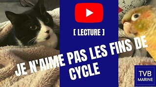 Billet d'humeur de décembre je n'aime pas les fins de cycle