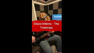 BASS COVER Disco Inferno - The Trammps