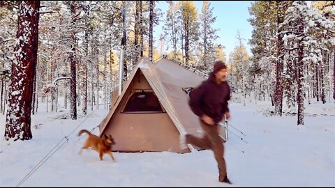 Winter Hot Tent Camping w/ My Dog: Getting Ready For LOTS OF SNOW - Forecast Calling for TWO FEET!
