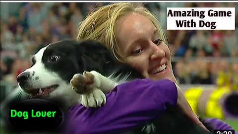 P%21nk_the_border_collie_wins_back-to-back_titles_at_the_201 9_WKC_Masters_Agility Dog SPORTS