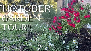 Zone 8B October Garden Tour#droughttolerant #centraltexas #nativeplants