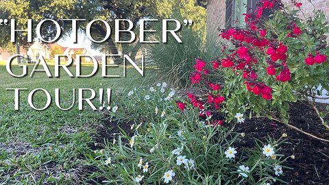 Zone 8B October Garden Tour#droughttolerant #centraltexas #nativeplants