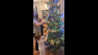 Decorating the Christmas Tree