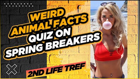 Just Laughs | WEIRD Animal Facts Quiz On Spring Breakers! Part 2 | Clearwater Beach Florida | Just Laughs