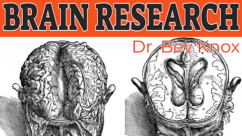 Brain Research - History of Psychology Series