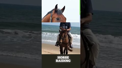 raiding lesson horse raiding ,horses vlog, #horse riding#