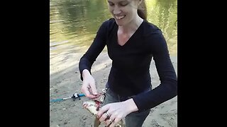 Redhead fishing turns Carp into Popeye!