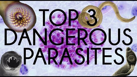 Top 3 Dangerous Parasites (Graphic)