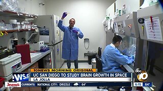 UC San Diego scientists sending brains to space