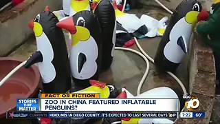 Zoo features inflatable animals?