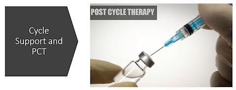 PCT and cycle support for anabolics and sarms