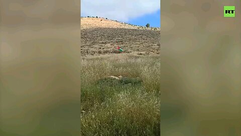 Palestinian flag explodes as man attempts to remove it in West Bank