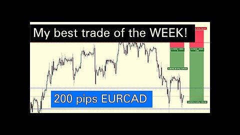 How we made 1000$ in 2 days Forex trading