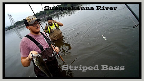 Striper Fishing the Susquehanna River