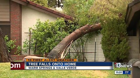 Tree falls on home near Warm Springs, valle Verde