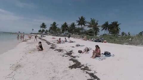 FABULOUS SOMBERO BEACH IN MARATHON/ FLORIDA KEYS